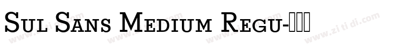 Sul Sans Medium Regu字体转换